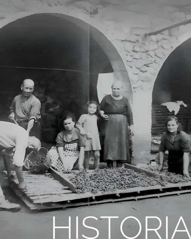 Esta imagen es más que una foto: es el reflejo de la dedicación de generaciones que han hecho de nuestra bodega un sueño vivo. ❤️ 

El proceso de secado, la paciencia y el amor por el vino han pasado de abuelos a nietos, manteniendo intacta la esencia de lo artesanal. Hoy seguimos honrando estas raíces, brindando por el pasado y mirando hacia el futuro. 🍷🍇

#bodegasriko #bodega #bodegasrikoxalo #xalo #marinaalta #costablanca #vino #wine #vendimia #winelover #amantesdelvino #bodegalocal #tradicion #artesania #viñedos #uva #amantesdelvino #historia